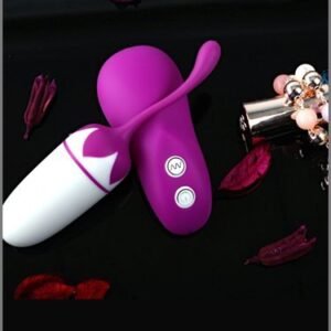 20 Modes Vibration Wireless Vibrating Egg for Female SV-008